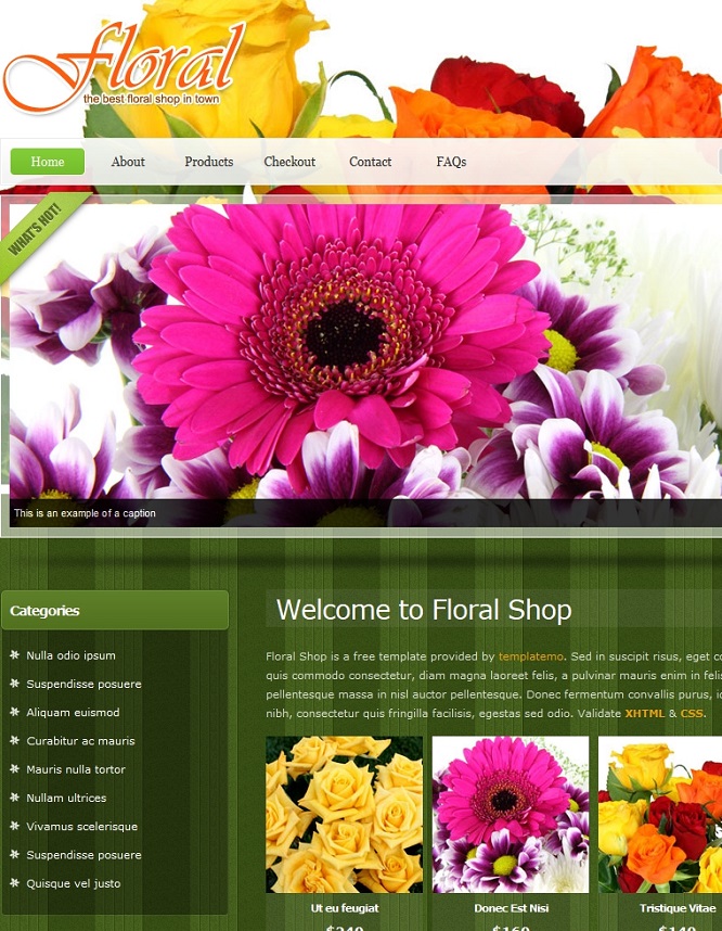 漂亮的鲜花商城网站模板下载  英文网页