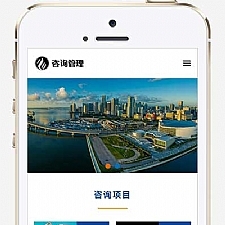 (自适应手机版)HTML5企业管理咨询机构网站源码响应式咨询管理类网站pbootcms模板