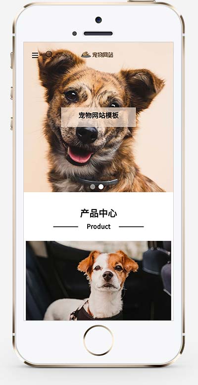 (自适应手机端)宠物商店宠物装备类网站pbootcms模板 宠物网站源码下载(图1)
