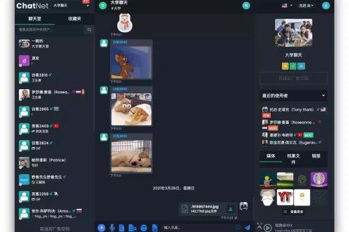 2024ChatNet多用户在线聊天室源码免授权版