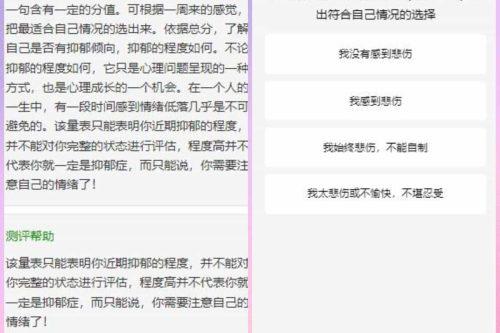 付费心理测试网站源码、心理测试H5变现源码、心理测评网站源码