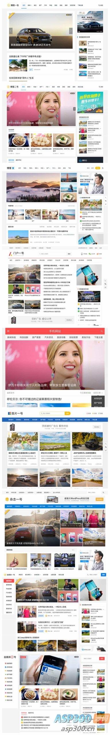 主题巴巴主题源码合辑打包下载+主题巴巴SEO插件|WordPress主题模版