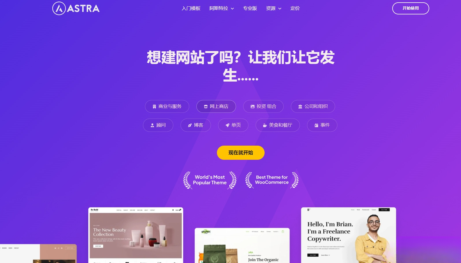 Astra独立站全套主题整理带pro版插件