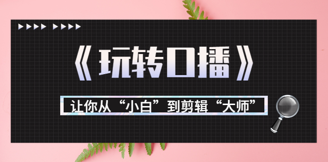 月营业额700万+大佬教您《玩转口播》让你从“小白”到剪辑“**”