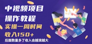 【中视频课程】只讲核心，只讲实操，不讲废话的中视频项目