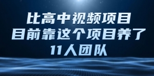 【中视频撸金计划】中视频项目，目前靠这个项目养了11人团队【视频课程】