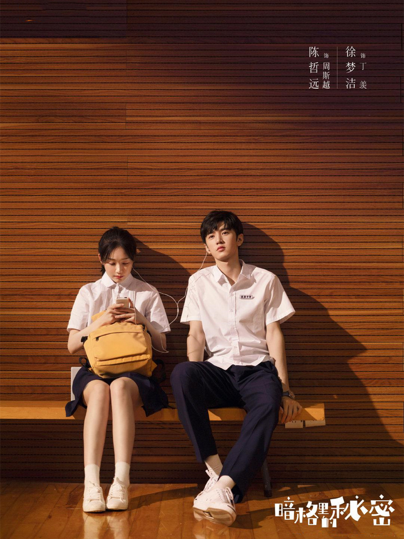 《暗格里的秘密》分集剧情文案-2021-陈哲远/徐梦洁/王泽轩/王一岚[更新至第集]