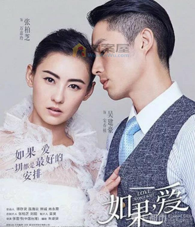 热门《如果，爱》电视剧解说文案