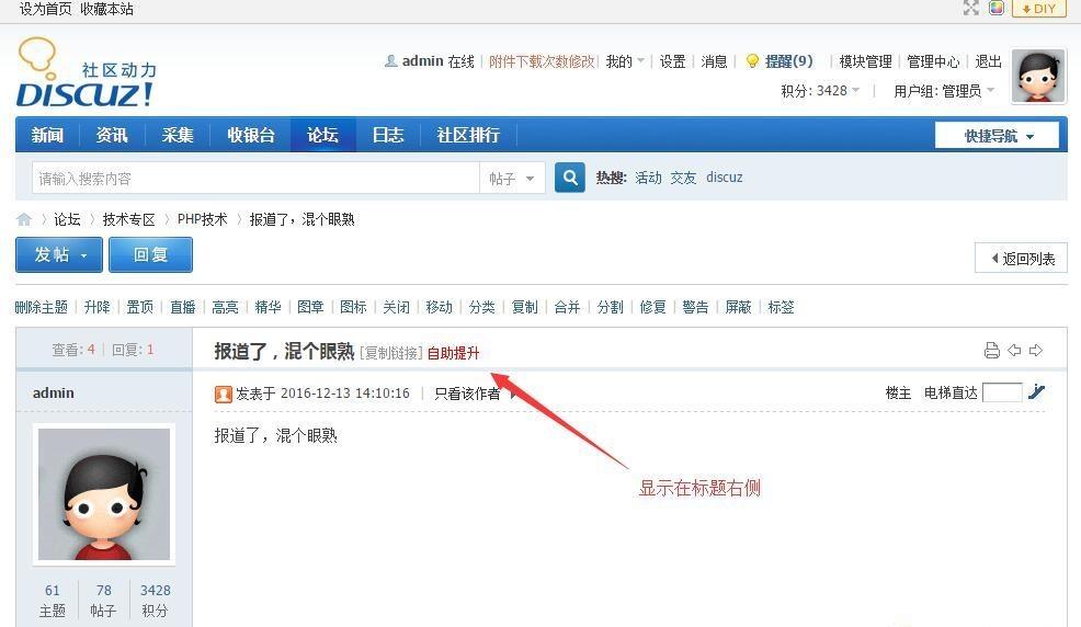 discuz商业插件 用户主题自助 v1.1