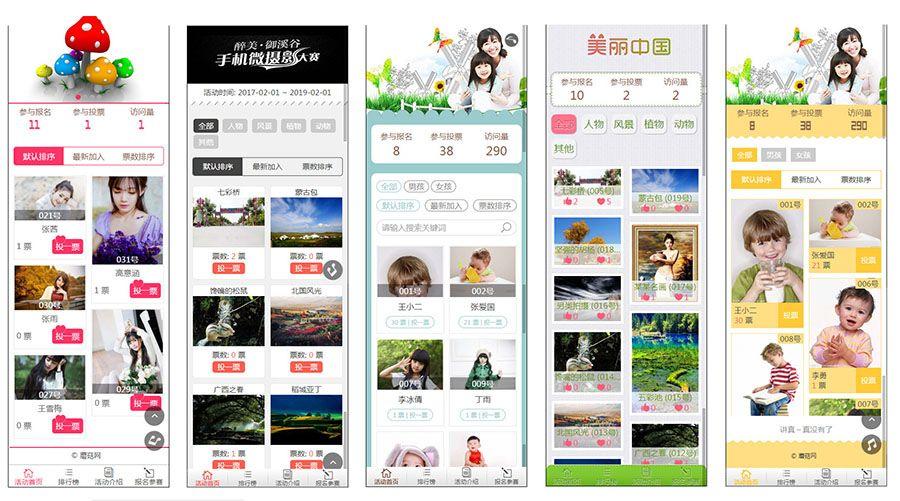 discuz商业插件 微信投票插件 企业版 v4 价值398元